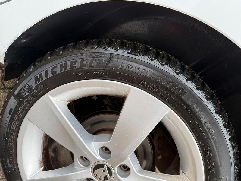 Gebraucht Skoda Rapid Clever 110 PS (80 kW) 2019 Weiß Kleinwagen