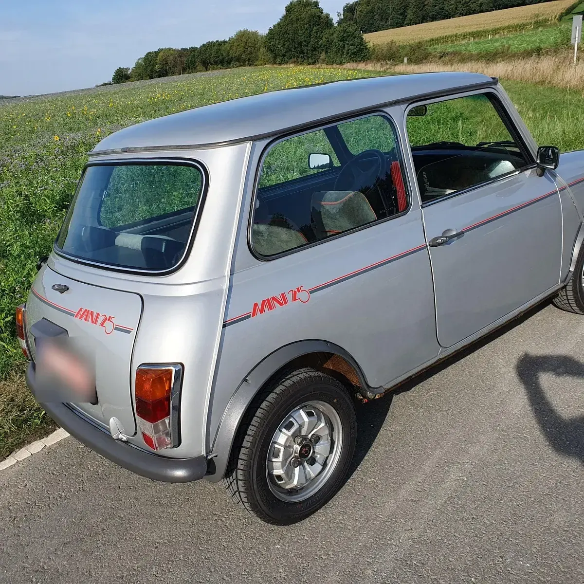 Usata Mini 1000 44 CV (32 kW) 1984 Argento Utilitaria