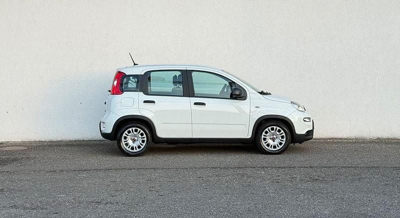 Gebraucht Fiat Panda 69 PS (50 kW) 2023 Weiß Kleinwagen