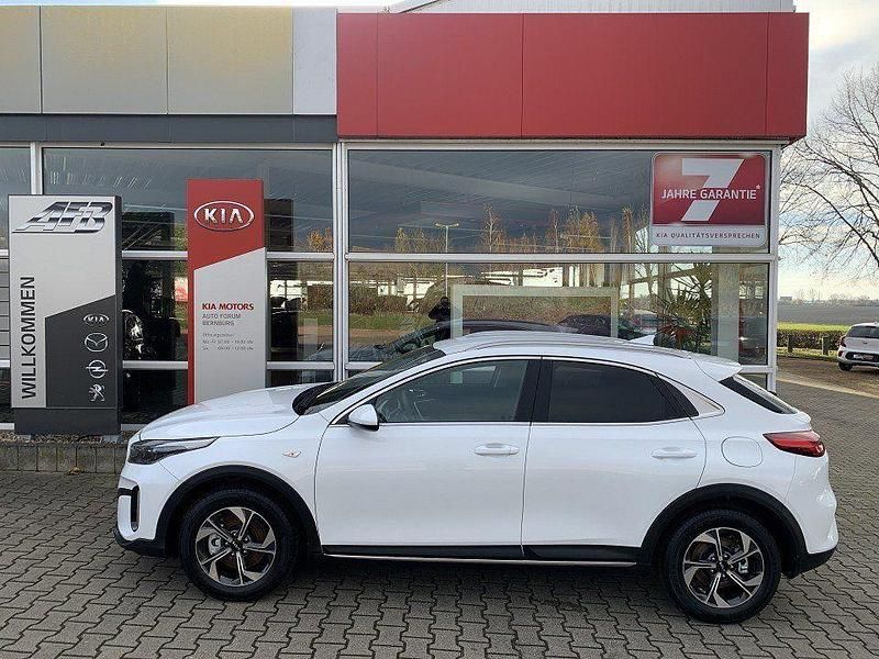 Gebraucht Kia XCeed Vision 140 PS (102 kW) 2024 Deluxeweiss met. SUV