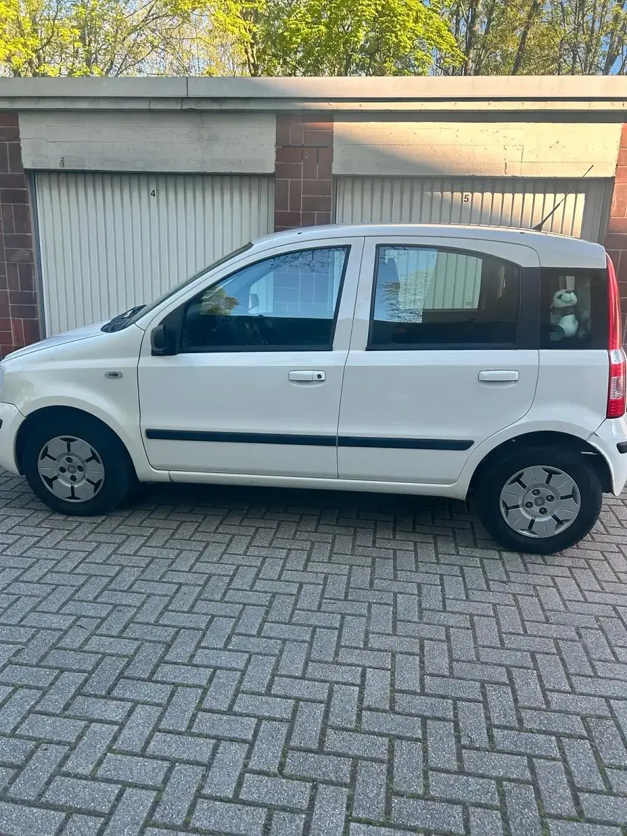 Używany Fiat Panda 60 KM (44 kW) 2008 Biały Hatchback