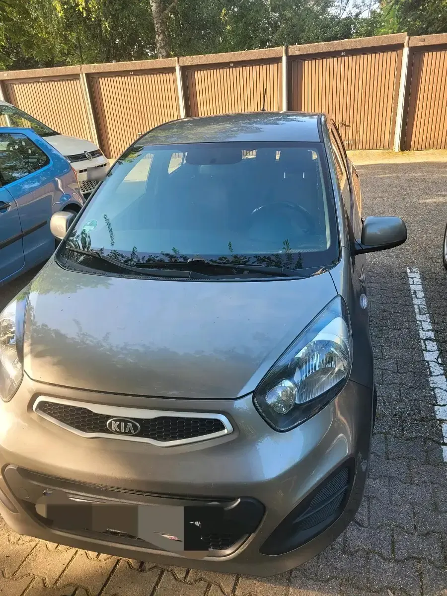 Gebraucht Kia Picanto 51 PS (37 kW) 2014 Gold Kleinwagen