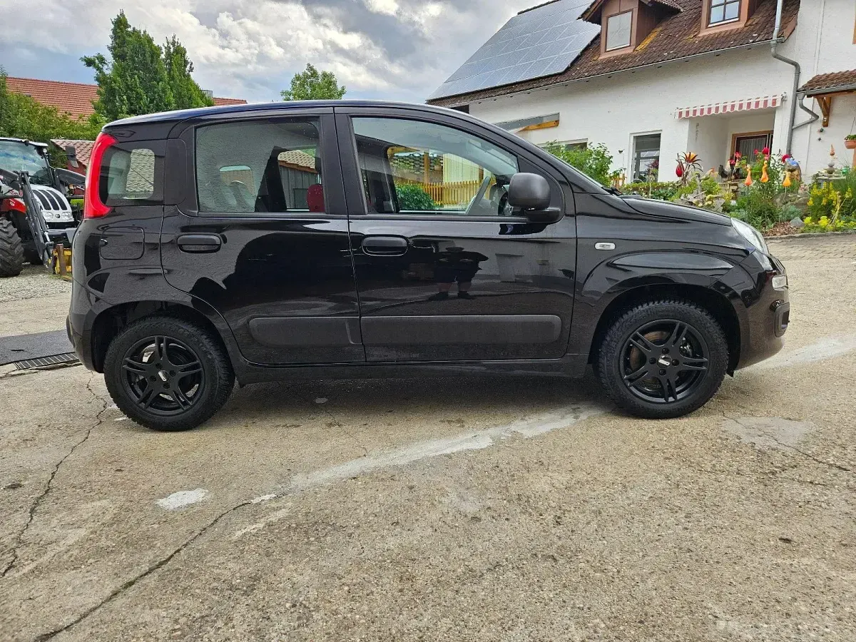 Gebraucht Fiat Panda Easy 69 PS (50 kW) 2017 Schwarz Kleinwagen