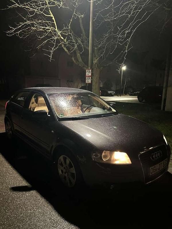 Gebraucht Audi A3 Attraction 160 PS (117 kW) 2007 Grau Kleinwagen