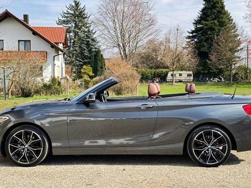 Gebraucht BMW 220 Advantage 190 PS (139 kW) 2015 Grau Cabrio