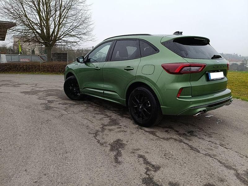Gebraucht Ford Kuga ST-Line 242 PS (177 kW) 2024 Grün SUV