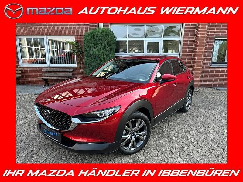 Rot Gebraucht 2024 Mazda CX-30 Takumi-Line SUV | 30.880 € (Etwas zu teuer) - Bild 1/4