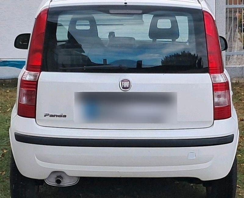 Gebraucht Fiat Panda 69 PS (50 kW) 2012 Weiß Kleinwagen