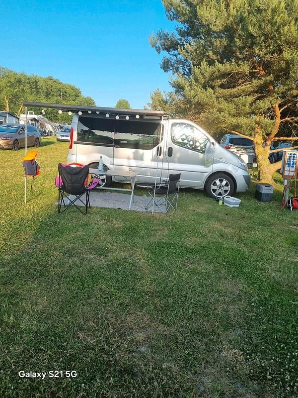 Silber Gebraucht 2009 Opel Vivaro Van | 11.990 € - Bild 1/4