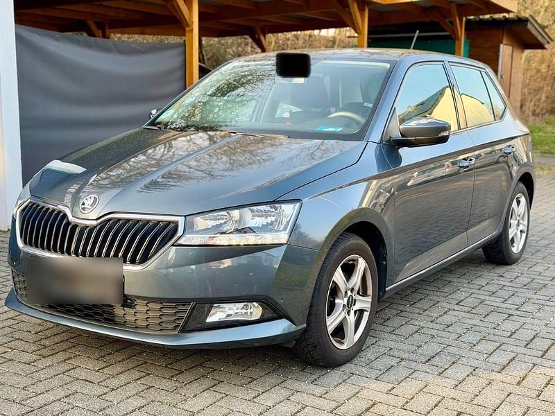 Gebraucht Skoda Fabia Clever 95 PS (69 kW) 2020 Grau Kleinwagen