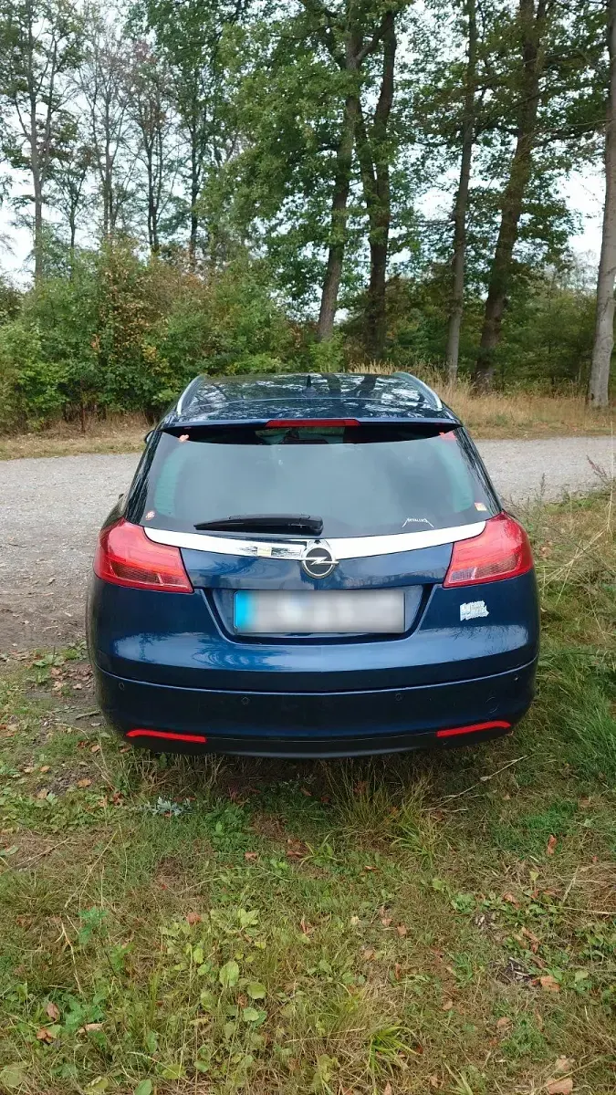 Gebraucht Opel Insignia 140 PS (102 kW) 2010 Blau Kombi