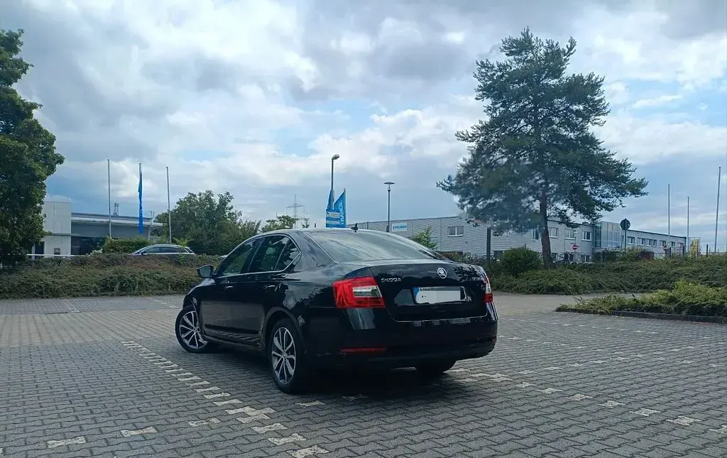 Gebraucht Skoda Octavia Active 116 PS (85 kW) 2019 Schwarz Limousine