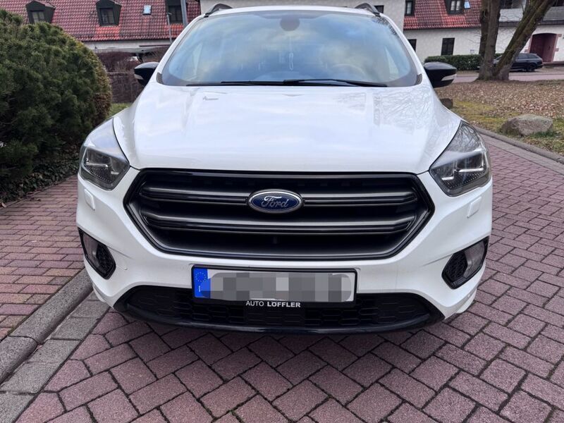 Gebraucht Ford Kuga Trend 150 PS (110 kW) 2019 Weiß SUV