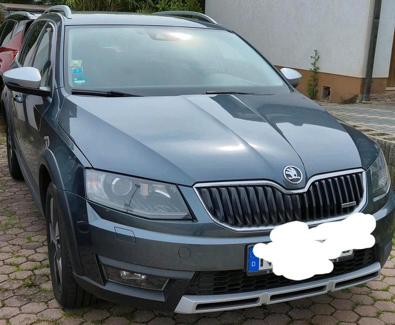Grau Gebraucht 2015 Skoda Octavia Scout Kombi | 12.500 € (Etwas zu teuer) - Bild 1/4