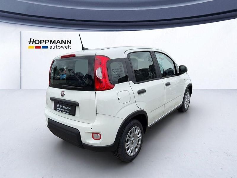 Gebraucht Fiat Panda Pop 69 PS (50 kW) 2024 Weiß Kleinwagen
