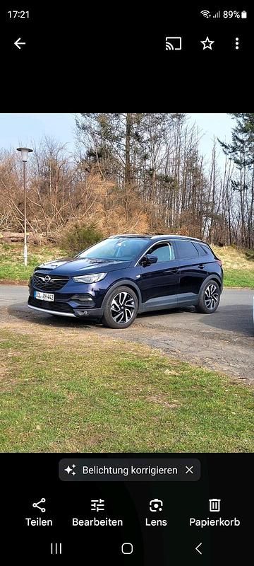 Gebraucht Opel Grandland X Ultimate 131 PS (96 kW) 2020 Blau SUV