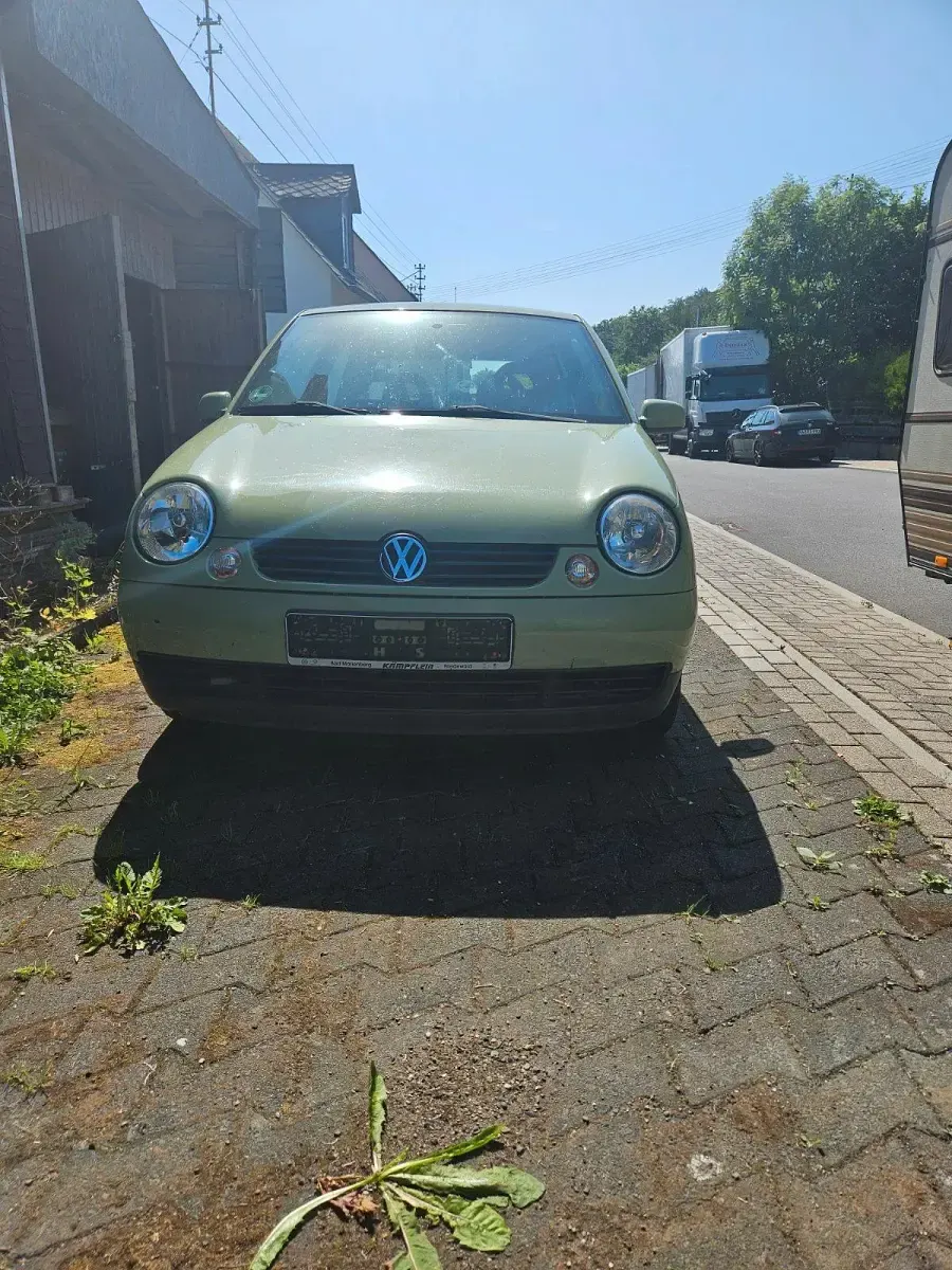 Gebraucht VW Lupo 60 PS (44 kW) 2002 Grün Kleinwagen