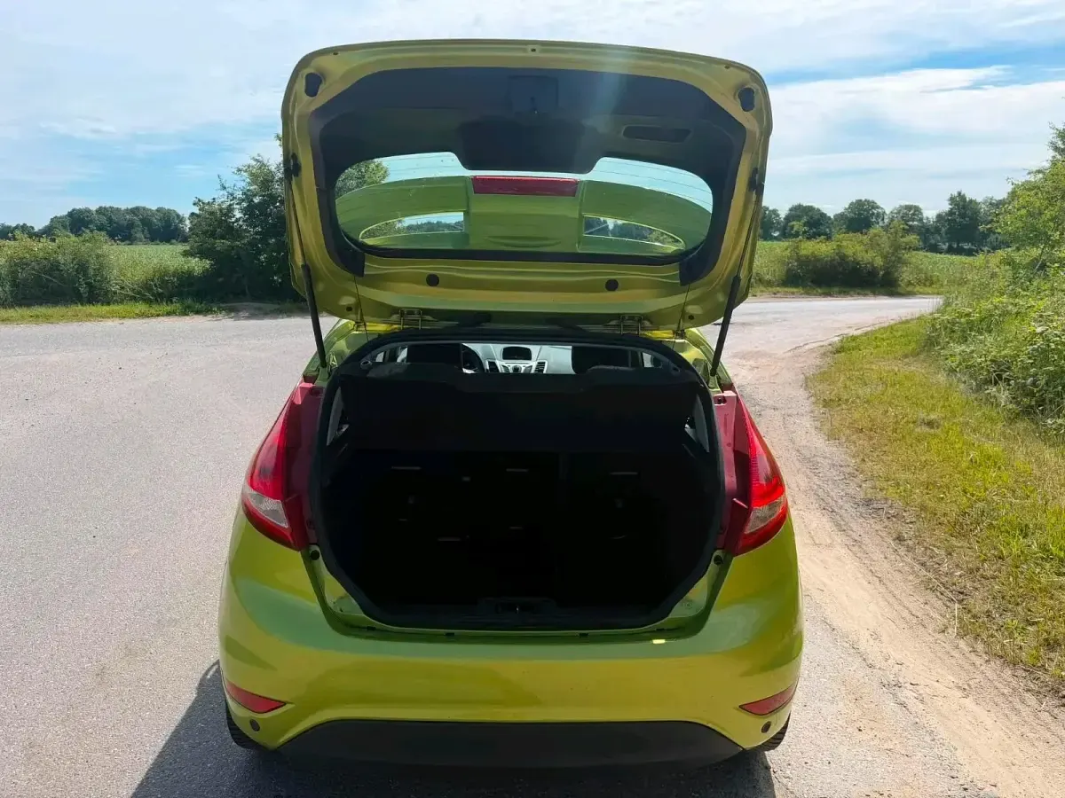 Gebraucht Ford Fiesta 82 PS (60 kW) 2009 Grün Kleinwagen
