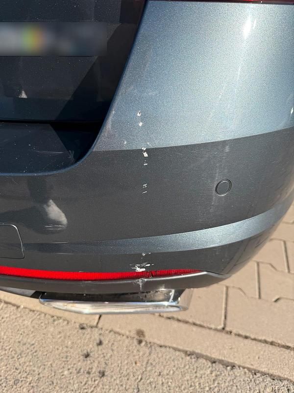 Gebraucht Skoda Octavia vRS 184 PS (135 kW) 2018 Grau Kombi