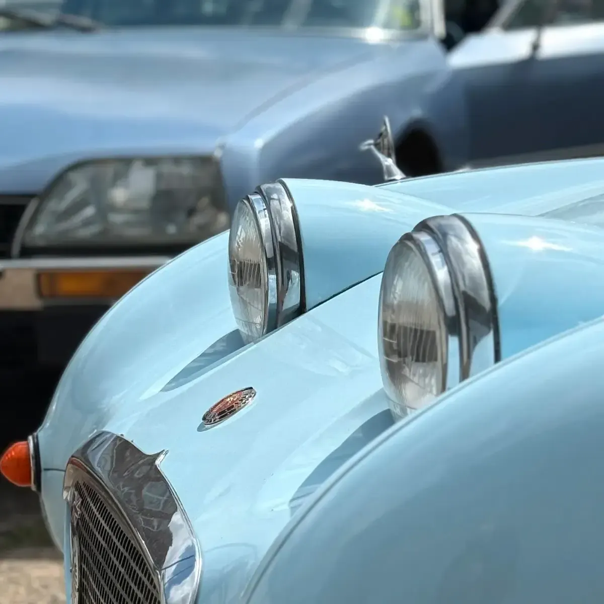 Gebraucht Austin Healey Sprite 44 PS (32 kW) 1960 Blau Cabrio