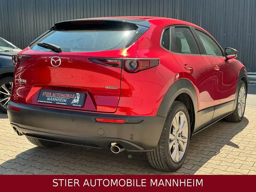 Gebraucht Mazda CX-30 Selection 150 PS (110 kW) 2022 Rot SUV