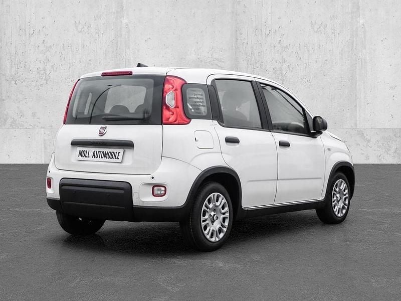Neu Fiat Panda 69 PS (50 kW) 2025 Gelato weiß Limousine