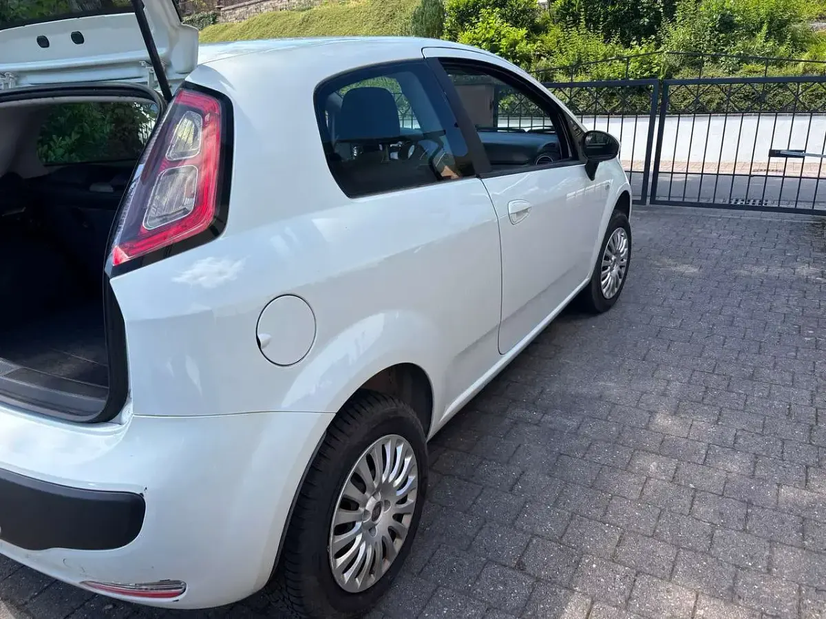 Gebraucht Fiat Punto Dynamic 77 PS (56 kW) 2011 Colore esterno (bianco divino) Kleinwagen