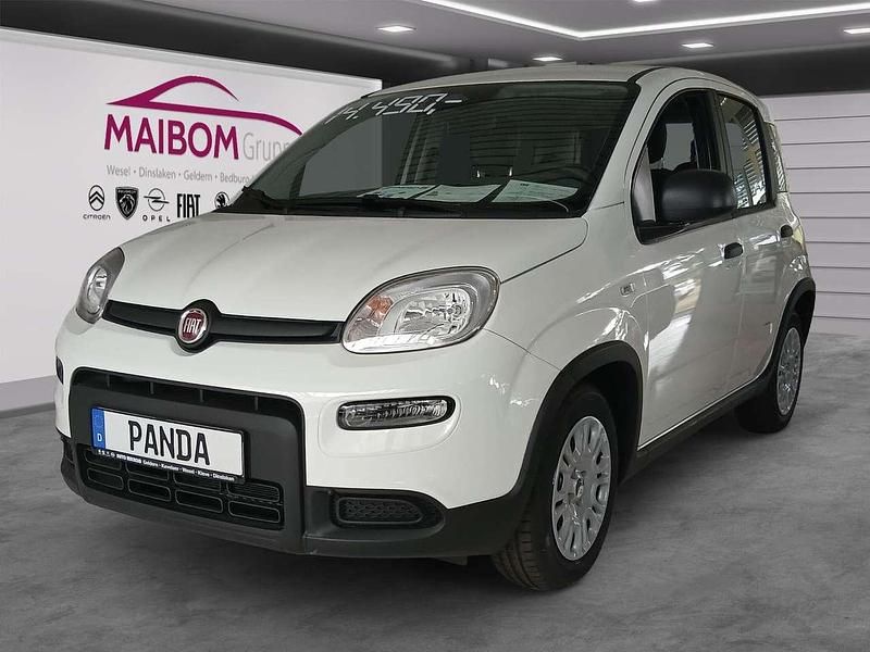 Gebraucht Fiat Panda 69 PS (50 kW) 2024 Weiß Kleinwagen