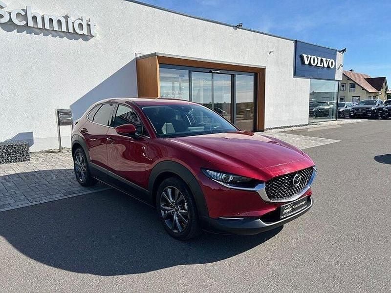 Gebraucht Mazda CX-30 2019 Rot SUV