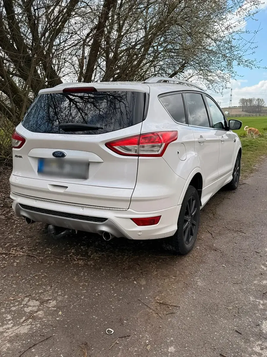 Gebraucht Ford Kuga 180 PS (132 kW) 2016 Weiß SUV