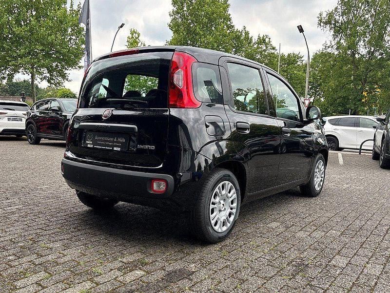 Neu Fiat Panda 69 PS (50 kW) 2025 Cinema schwarz Kleinwagen