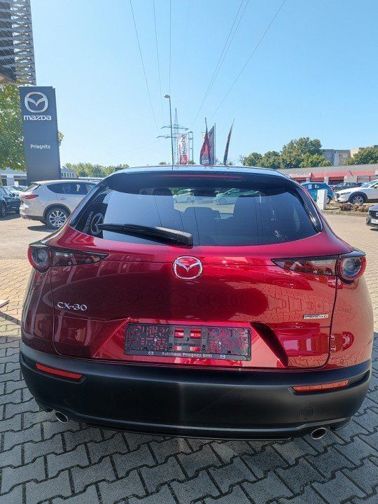Gebraucht Mazda CX-30 Exclusive-Line 150 PS (110 kW) 2024 SUV