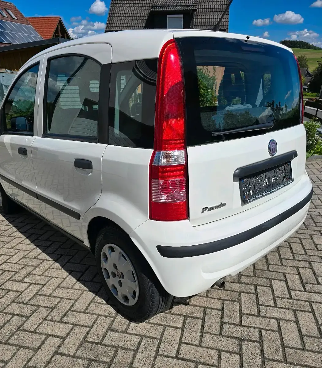 Gebraucht Fiat Panda 69 PS (50 kW) 2012 Weiß Kleinwagen