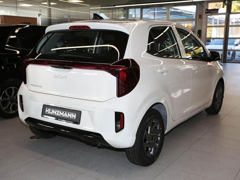 Neu Kia Picanto Vision 68 PS (50 kW) 2025 Schneeweiß Kleinwagen