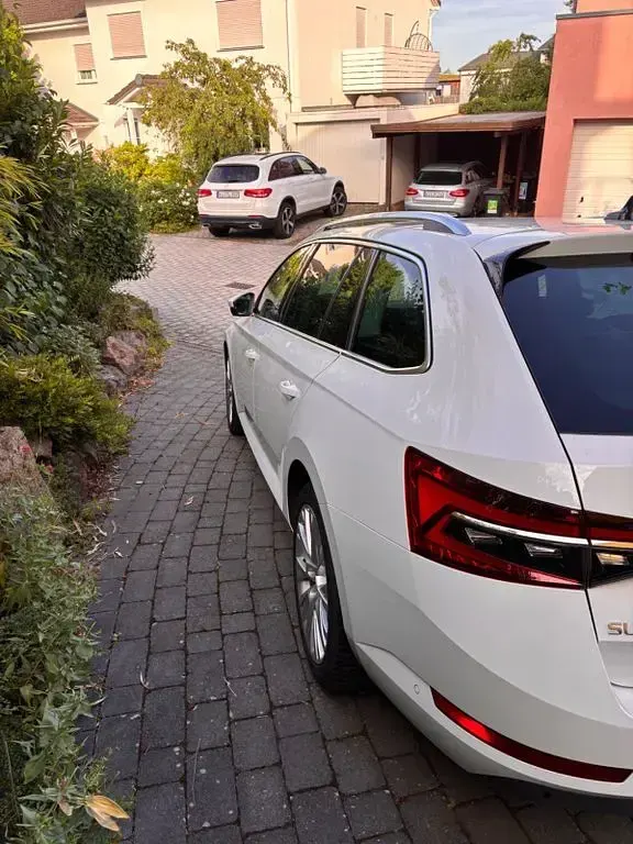 Gebraucht Skoda Superb Style 150 PS (110 kW) 2024 Weiß Kombi