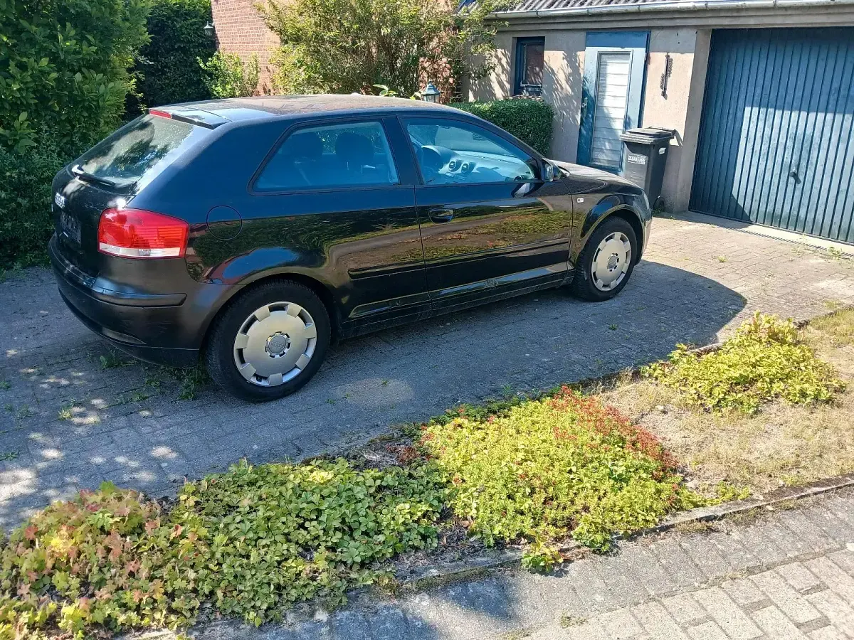 Gebraucht Audi A3 Sportback 102 PS (75 kW) 2004 Schwarz Kleinwagen