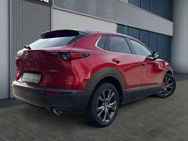 Gebraucht Mazda CX-30 Selection 186 PS (136 kW) 2021 Rot SUV