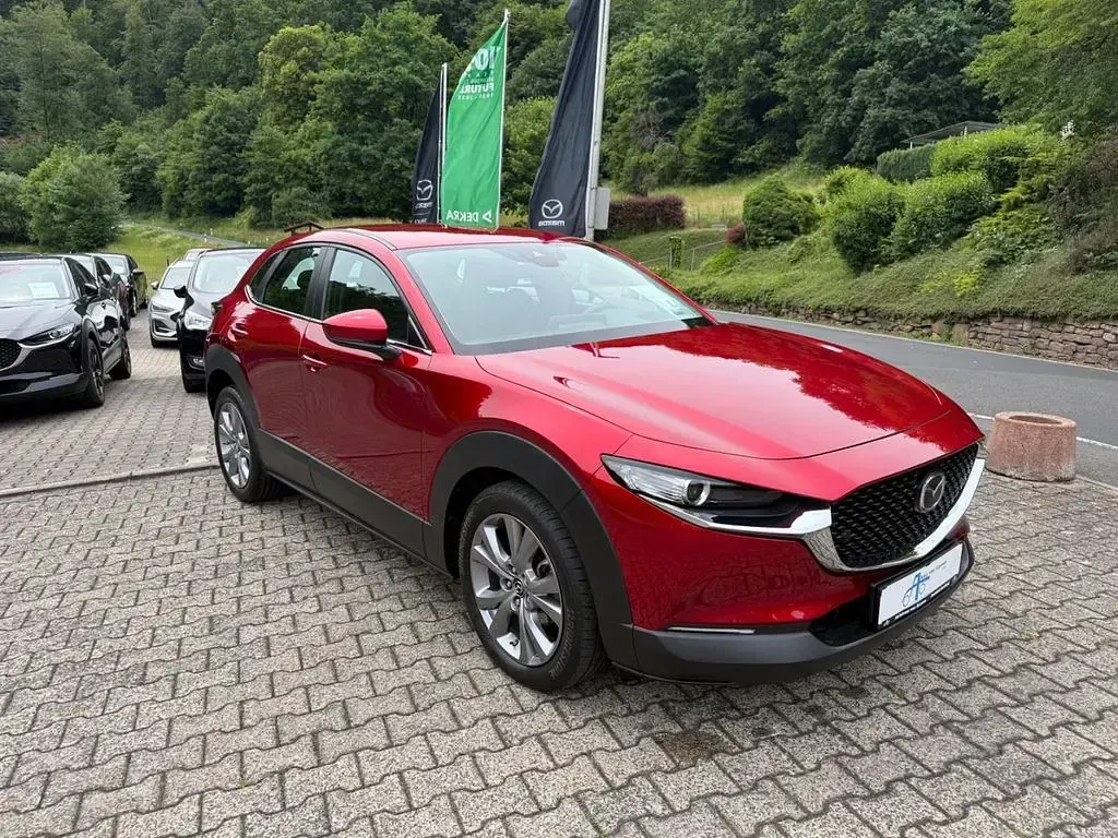 Gebraucht Mazda CX-30 Selection 186 PS (136 kW) 2022 Rot SUV