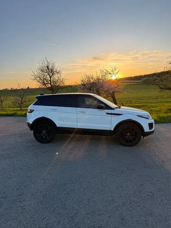 Gebraucht Land Rover Range Rover evoque 150 PS (110 kW) 2019 Weiß SUV