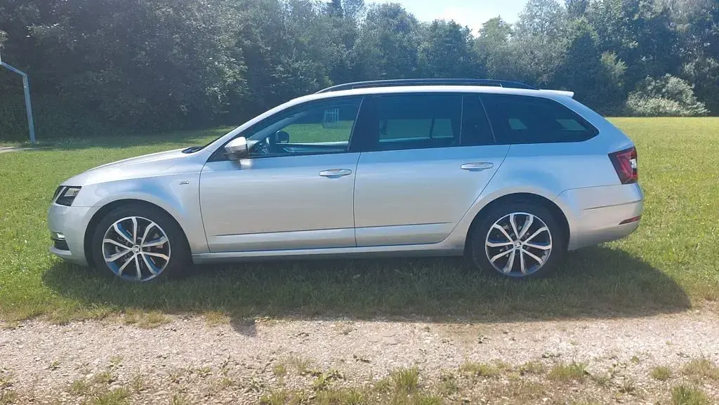 Gebraucht Skoda Octavia Drive 150 PS (110 kW) 2017 Silber Kombi