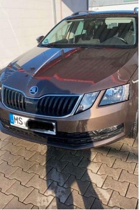 Braun Gebraucht 2018 Skoda Octavia Style Kombi | 16.900 € (Etwas zu teuer) - Bild 1/1