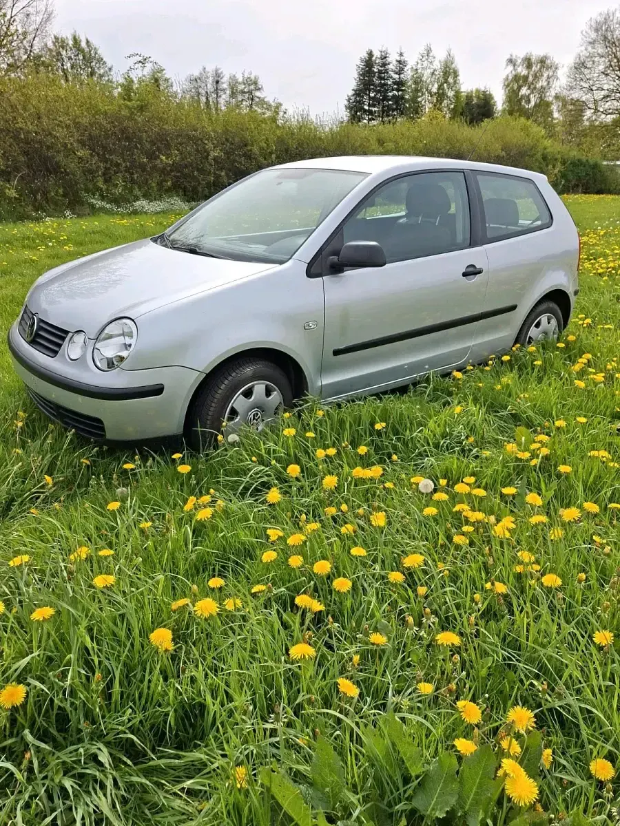 Gebraucht VW Polo 55 PS (40 kW) 2004 Silber Kleinwagen