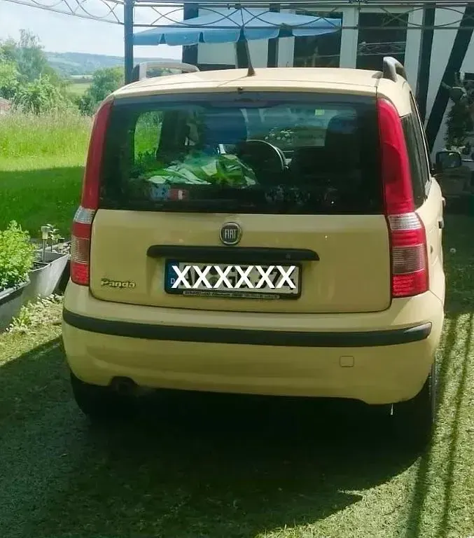 Brugt Fiat Panda 60 HK (44 kW) 2009 Gul Hatchback