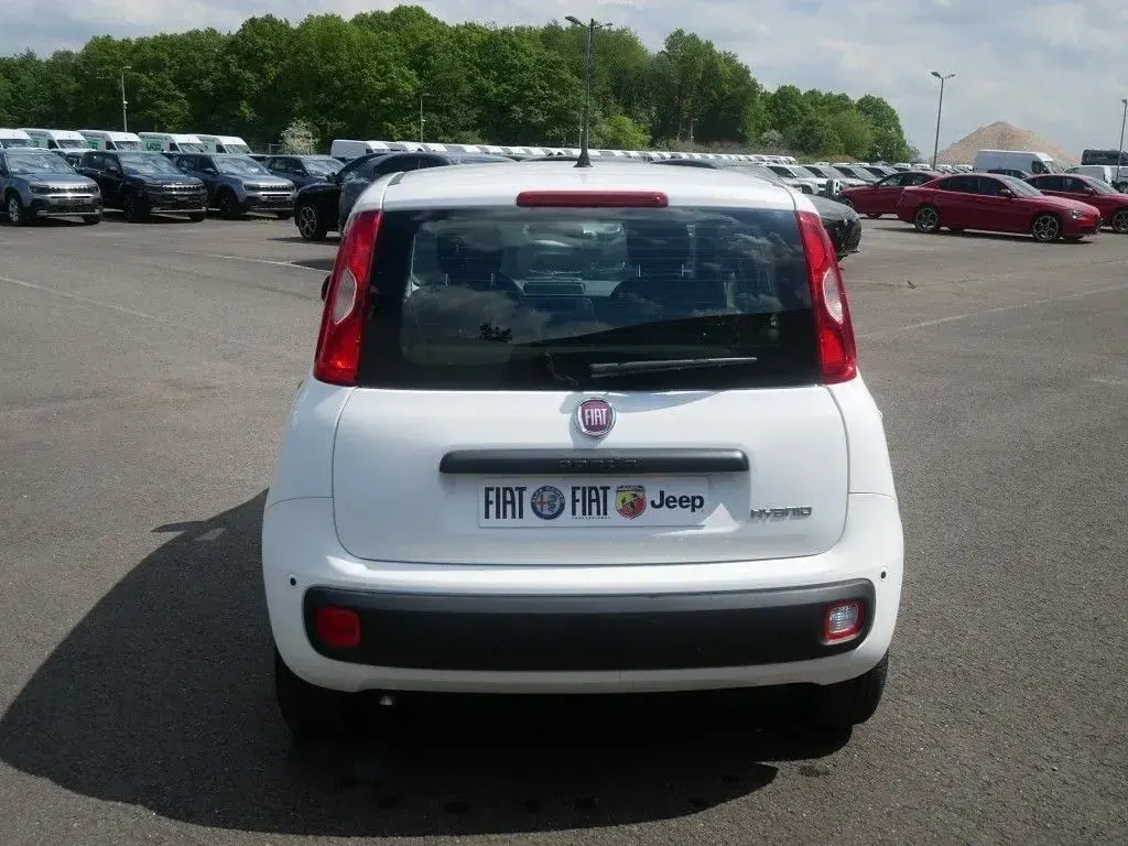 Neu Fiat Panda Pop 65 PS (47 kW) 2026 Weiß Kleinwagen