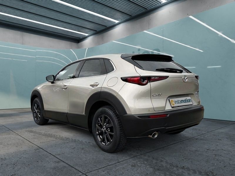 Gebraucht Mazda CX-30 Sky 186 PS (136 kW) 2024 Beige SUV