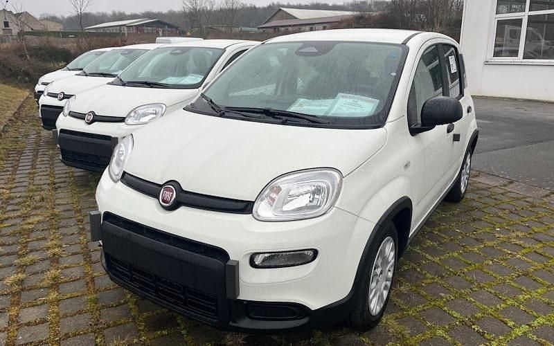 Weiß Neu 2025 Fiat Panda Pop Kleinwagen | 13.990 € (Guter Preis) - Bild 1/4