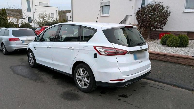 Usata Ford S-MAX 179 CV (131 kW) 2019 Bianco Monovolume