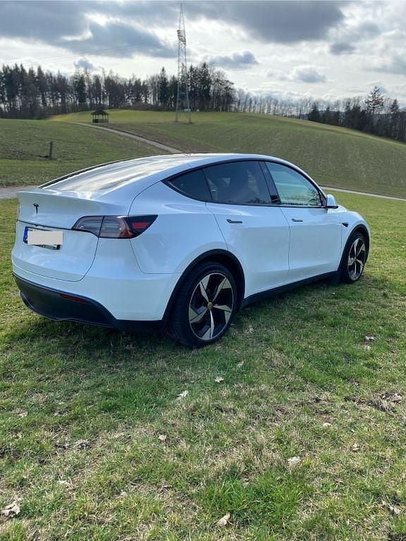 Gebraucht Tesla Model Y RWD 219 kW (299 PS) 2023 Weiß SUV