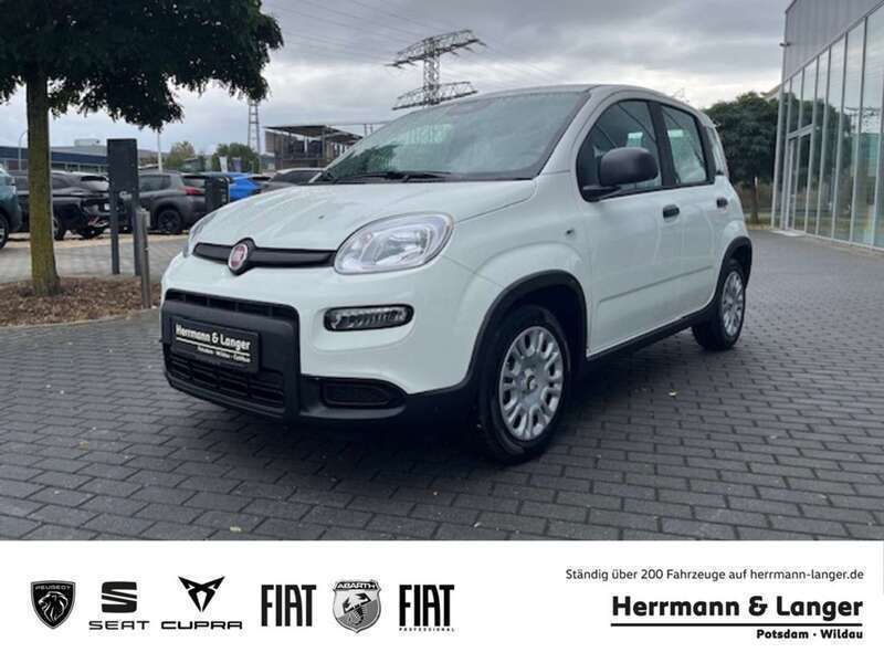 Weiss Neu 2024 Fiat Panda Kleinwagen | 15.795 € (Fairer Preis) - Bild 1/4