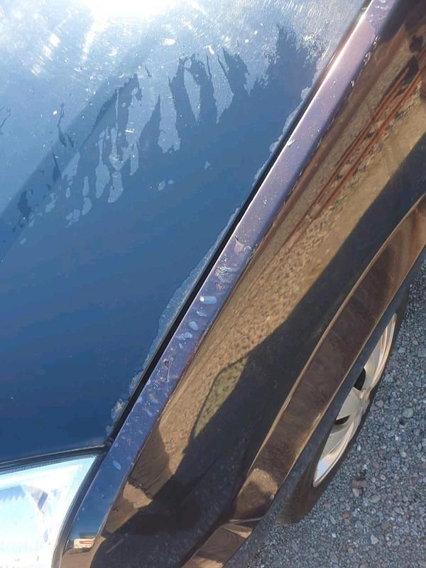 Gebraucht Ford Fusion 69 PS (50 kW) 2005 Blau Kleinwagen